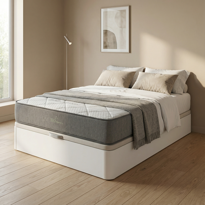 PACK CANAPÉ Y COLCHÓN BIOMEMORY